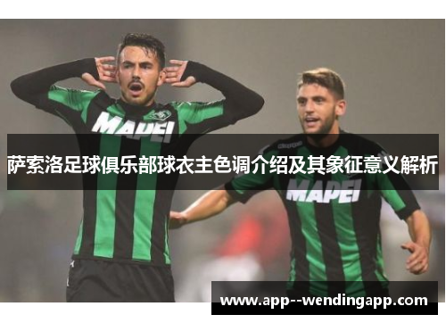 萨索洛足球俱乐部球衣主色调介绍及其象征意义解析