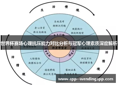 世界杯赛场心理抗压能力对比分析与冠军心理素质深度解析